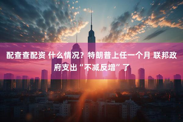 配查查配资 什么情况？特朗普上任一个月 联邦政府支出“不减反增”了