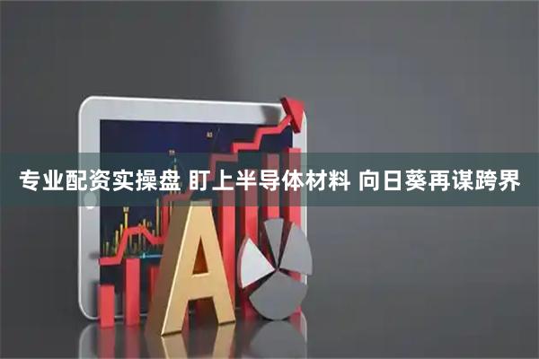 专业配资实操盘 盯上半导体材料 向日葵再谋跨界