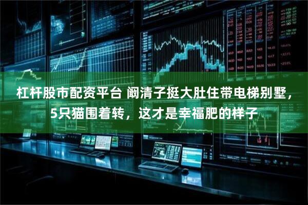 杠杆股市配资平台 阚清子挺大肚住带电梯别墅，5只猫围着转，这才是幸福肥的样子